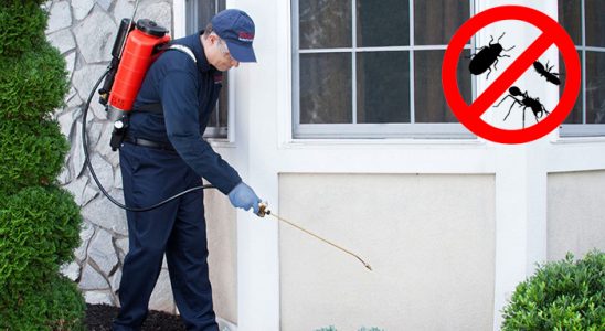 Sakarya Dezenfeksiyon böcek ilaçlama ve haşere kontrolü — ilaclama-tr.com